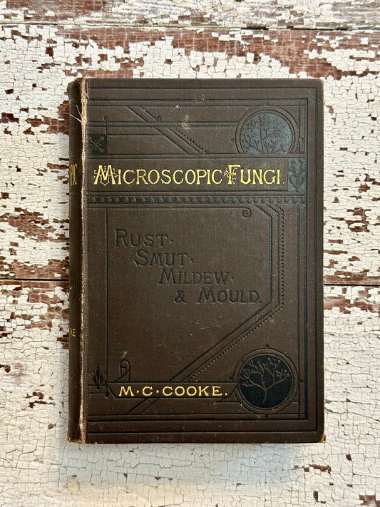 1878 Microscopic Fungi Book