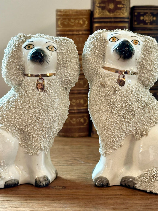 Mini Staffordshire Poodle Bookends